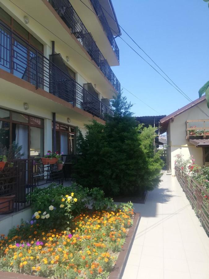 קוסטינסטי Villa Pescarus מראה חיצוני תמונה