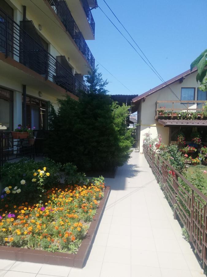 קוסטינסטי Villa Pescarus מראה חיצוני תמונה